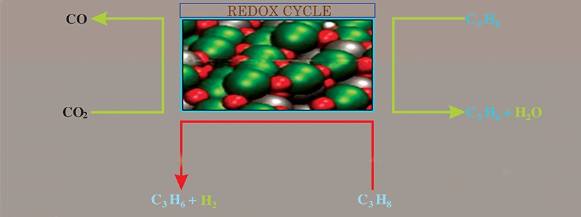 Research Heighlight