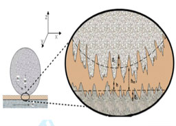 Research heighlight