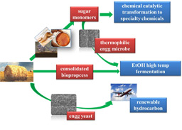 Research heighlight